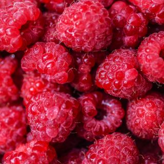 Málna Keton (Raspberry Ketone)